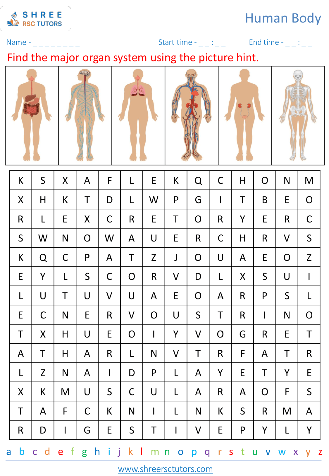 Human Body Systems Overview Human Body Systems Overview